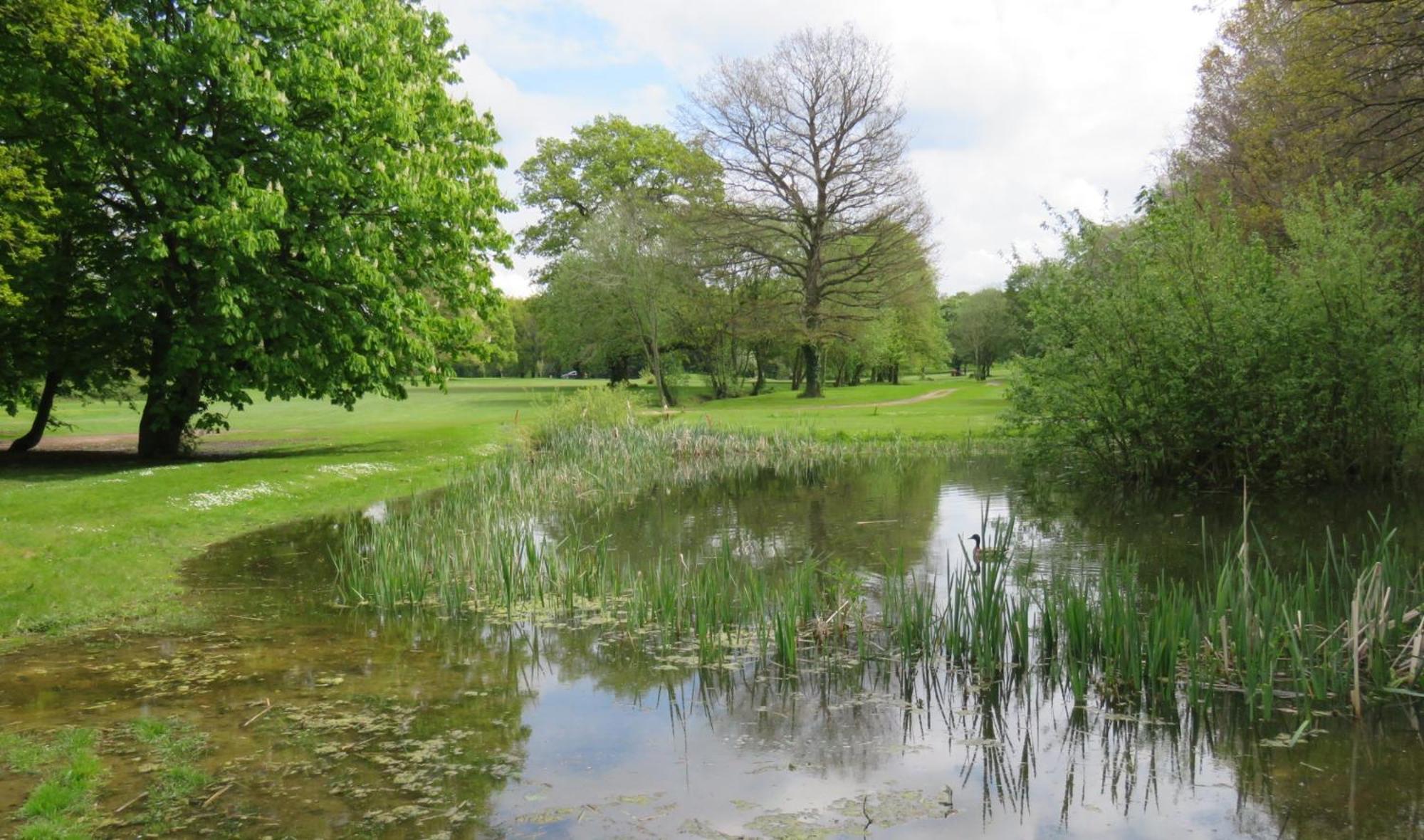 Manor Of Groves Hotel, Golf & Health Club Sawbridgeworth Esterno foto